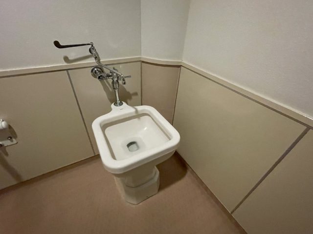 オストメイトあり