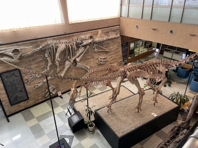 甑ミュージアム恐竜化石等準備室